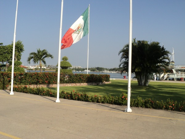 Mexican Flag