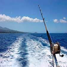 Fishing In Vallarta