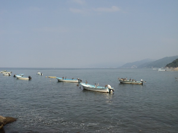 Fishing in Puerto Vallarta 