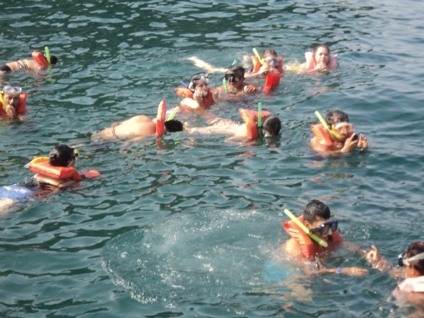 snorkeling in Puerto Vallarta